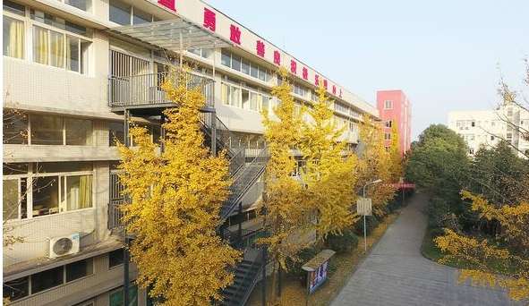 成都市文化艺术雷竞技官网竞猜
2024年招生简章