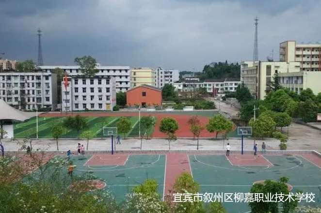 宜宾市叙州区柳嘉职业技术雷竞技官网竞猜
2024年招生简章