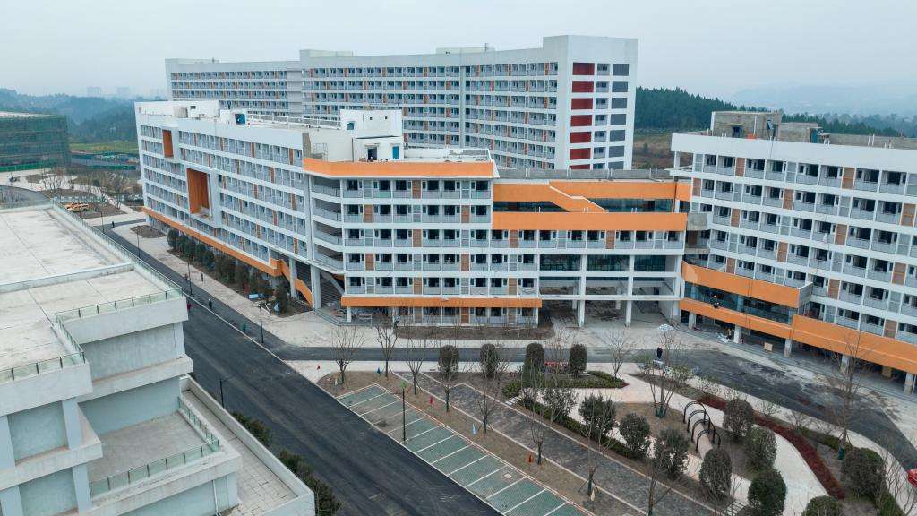 四川职业技术学院2024年单招和高考录取线,单招报考建议!