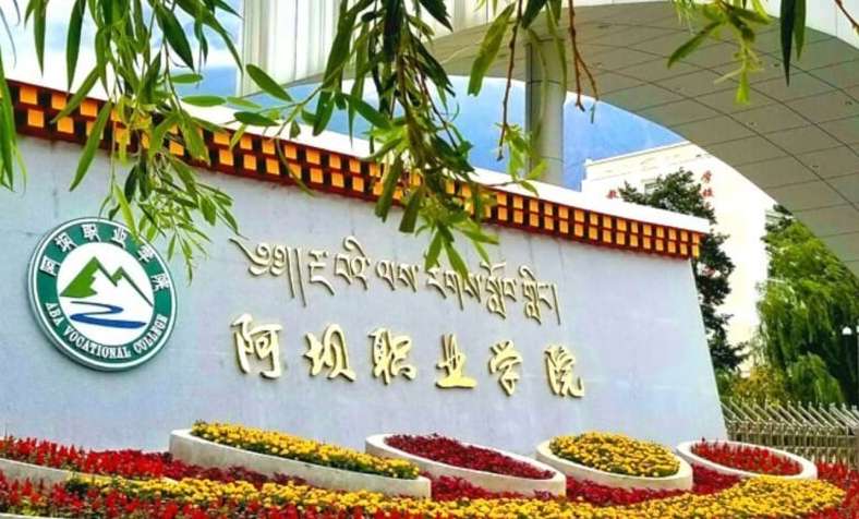 阿坝职业学院2024年单招和高考分数线