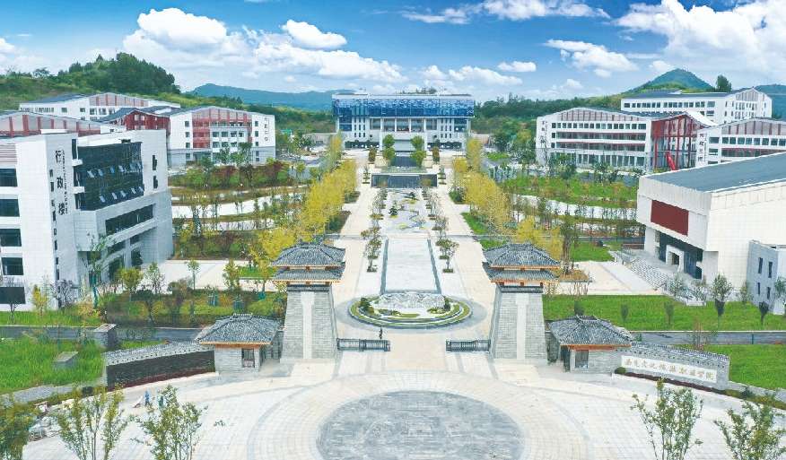 南充文化旅游职业学院2024年单招高考分数线