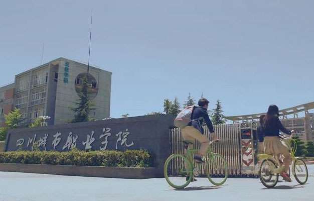 四川城市职业学院2024年单招录取线和高考分数线