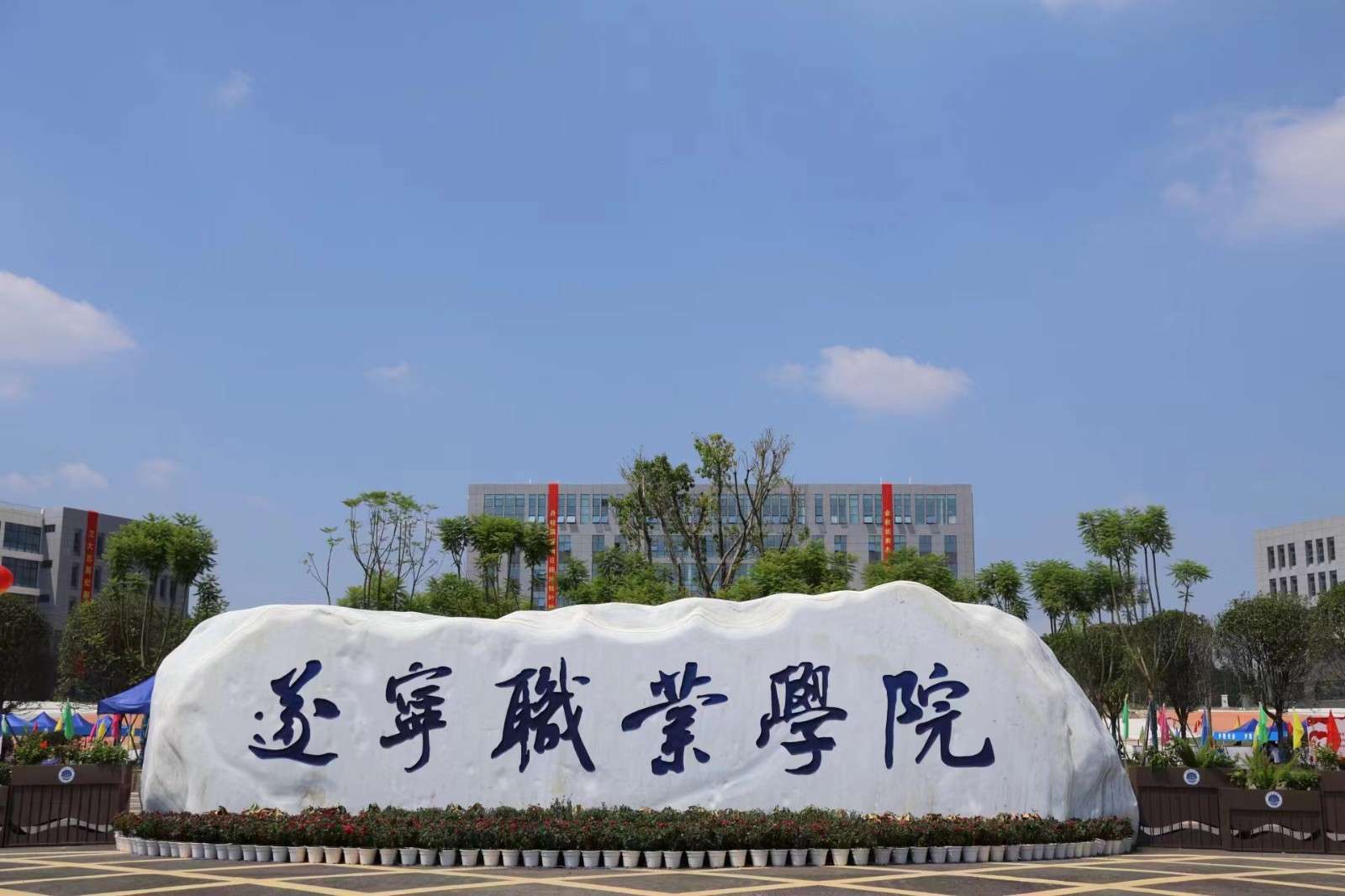 遂宁职业学院2024年单招分数线和高考调档线