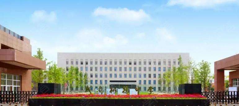 成都市树德中学(外国语校区)2025年录取线