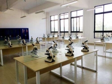 //www.ahkxfilter.com/m/school-2/document-id-61.html