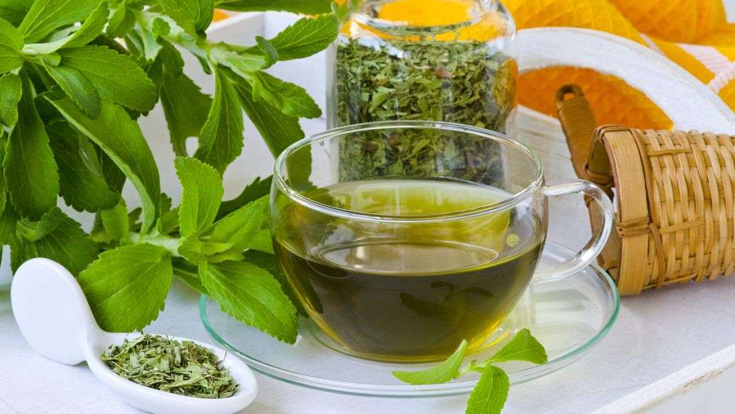 ��Ҷ������ӹ�