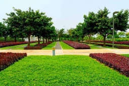 ԰���̻�רҵ