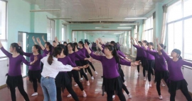 ����Ļ�������ѧǰ������רҵ