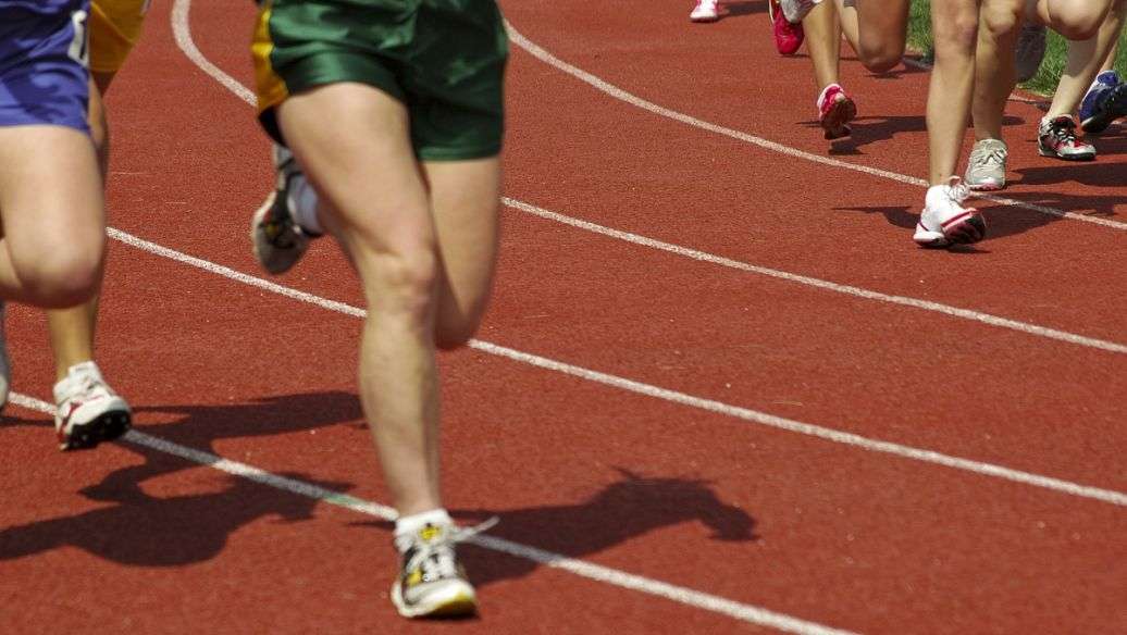 �˶�ѵ��רҵ